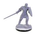 Nolzur's: Reborn Paladin & Reborn Warlock