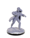 Nolzur's: Reborn Paladin & Reborn Warlock