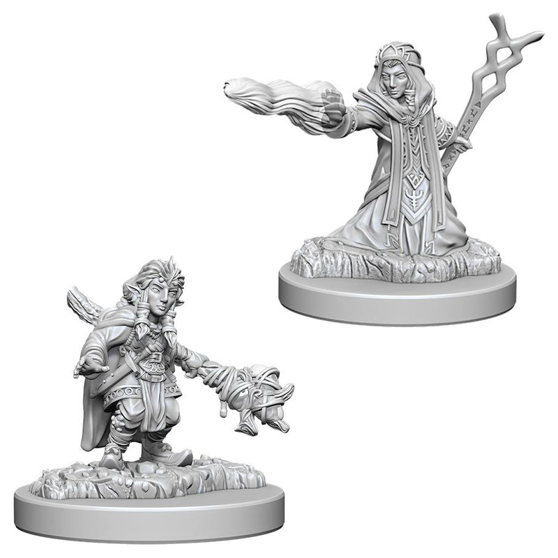 Female Gnome Wizard