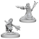 Female Gnome Wizard