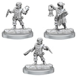 Frameworks Male Halfling Rogue