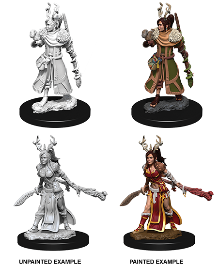 Human Druid Female