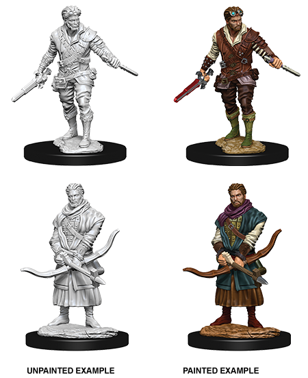 Male Human Rogue