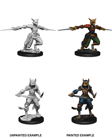 Tabaxi Rogue Female