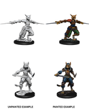 Female Tabaxi Rogue