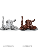 Giant Octopus