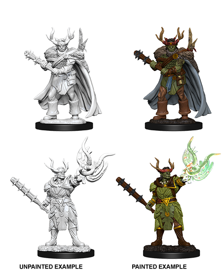 Male Half-Orc Druid