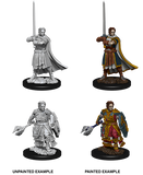 Male Human Cleric