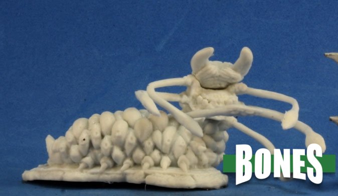 Charnal Grub