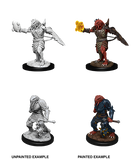 Male Dragonborn Paladin