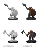 Male Dwarf Fighter