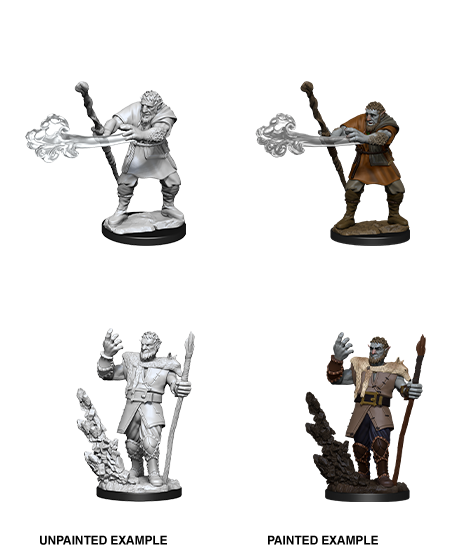 Firbolg Druid Male