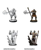 Male Firbolg Druid