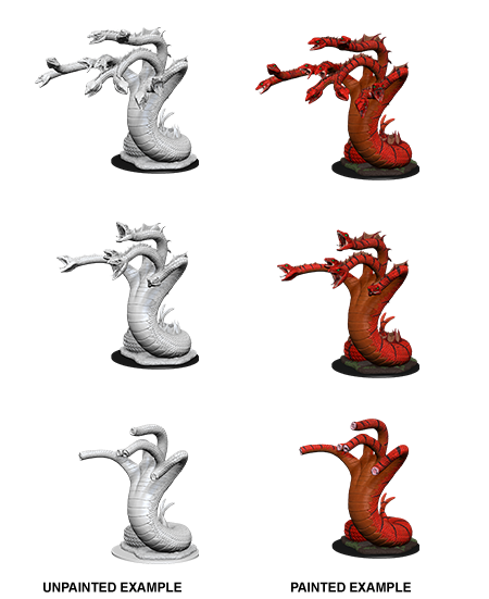Hydra