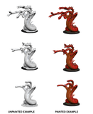 Hydra