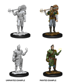 Male Half-Elf Bard