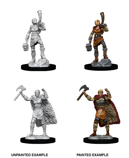 Human Barbarian Female