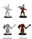 Male Dragonborn Paladin