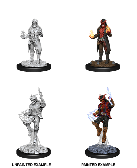 Tiefling Sorcerer Male
