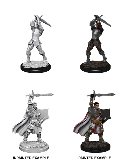 Human Paladin Male