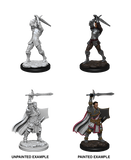 Male Human Paladin
