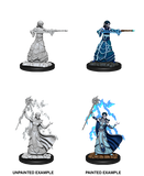 Female Elf Wizard