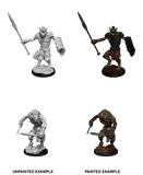 Gnoll & Gnoll Flesh Gnawer