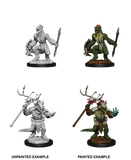 Lizardfolk & Lizardfolk Shaman
