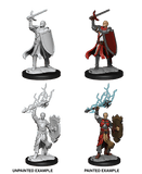 Half-Elf Paladin Male