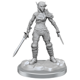 Elf Rogue miniature