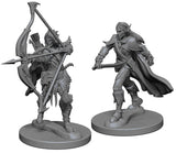 Pathfinder: Elf Male Fighter