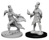 Elf Sorcerer Female