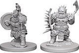 Male Dwarf Barbarian