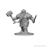Dwarf Fighter Male