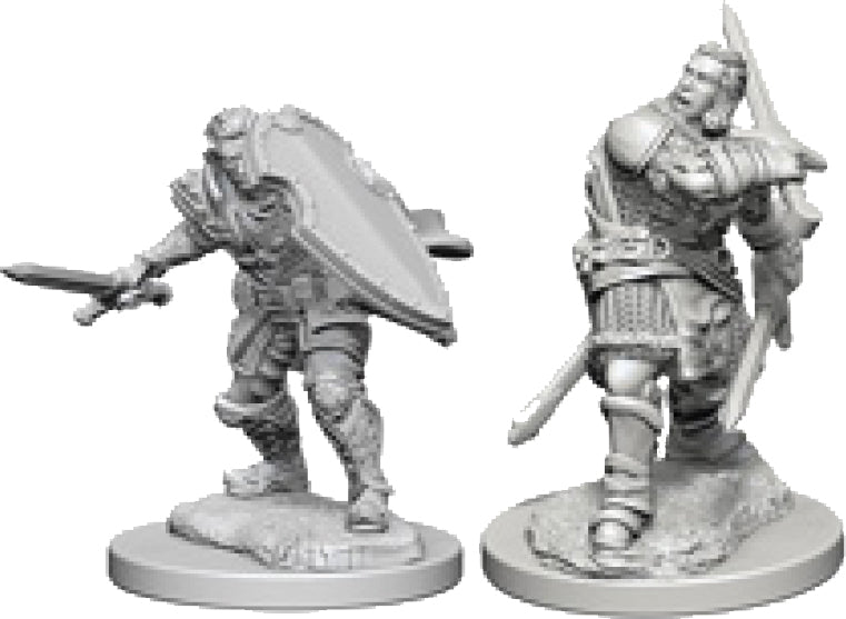Human Paladin Male