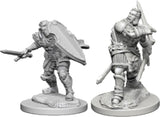 Human Paladin Male