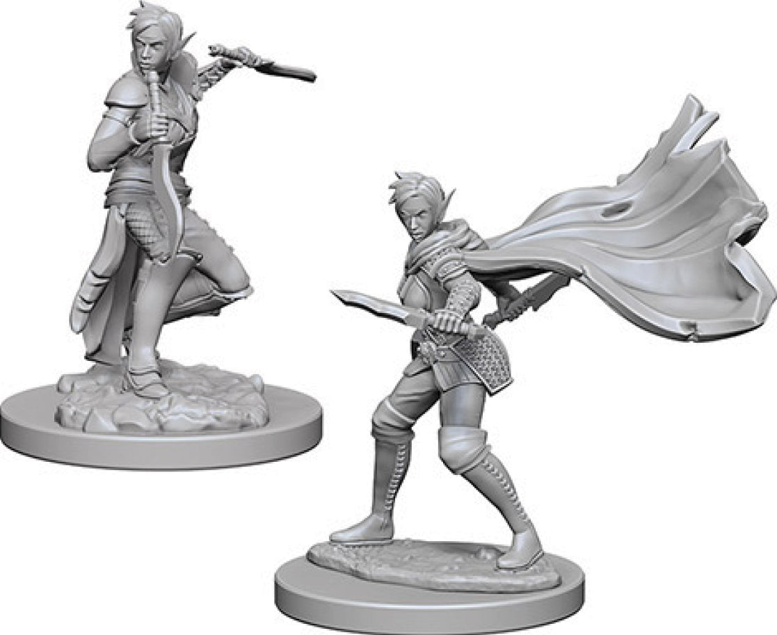 Elf Rogue Female
