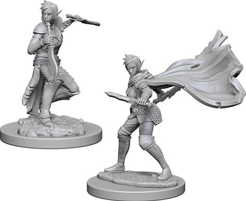 Elf Rogue Female