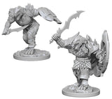 Male Dragonborn Fighter