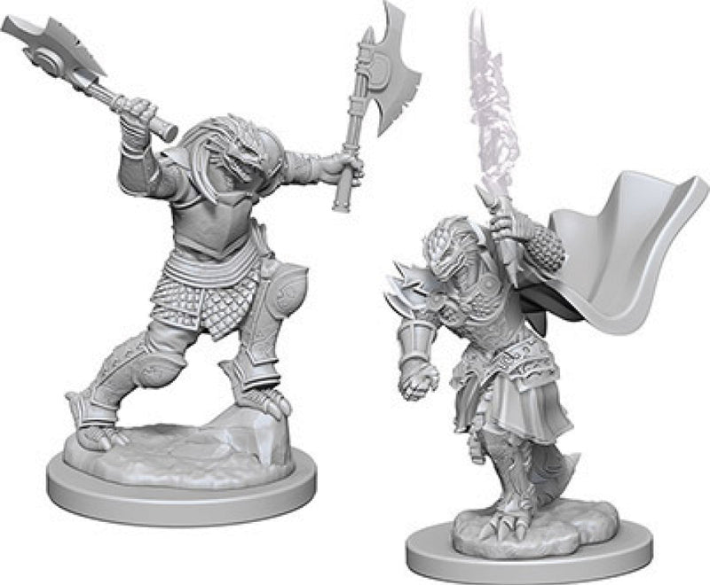 Dragonborn Fighter Female