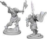 Female Dragonborn Fighter