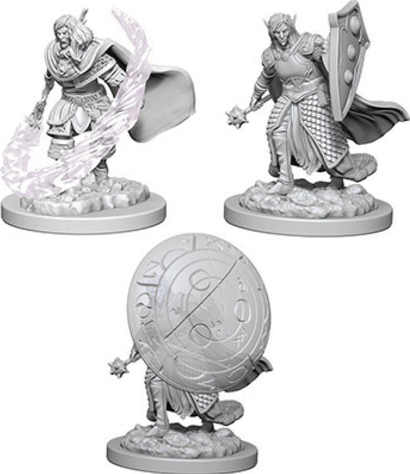Elf Cleric Male