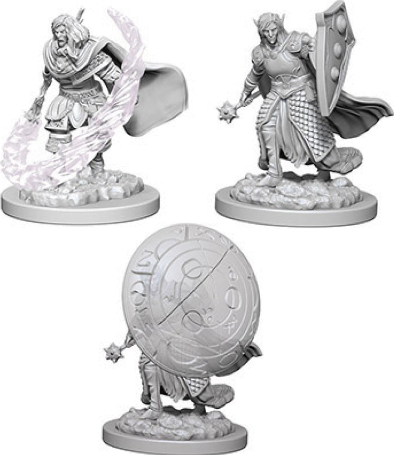 Elf Cleric Male