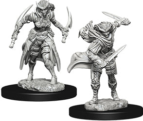 Tiefling Rogue Female