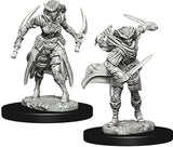 Female Tiefling Rogue