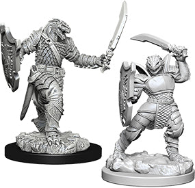 Dragonborn Paladin Female