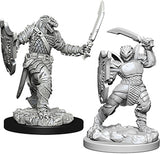 Female Dragonborn Paladin