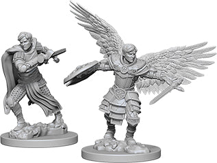 Male Aasimar Fighter