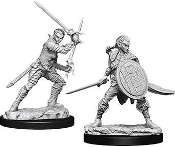 Elf Fighter Female