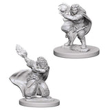 Dwarf Female Wizard